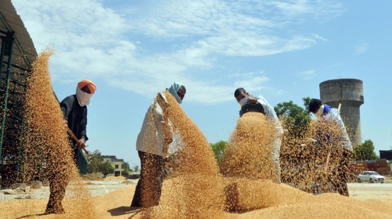  Vigilance exposes another scam in labor and transport tenders in Dana Mandis