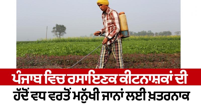Excessive use of chemical pesticides in Punjab is dangerous for human lives Editorial
