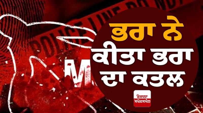 Brother killed brother in Chandigarh News in punjabi