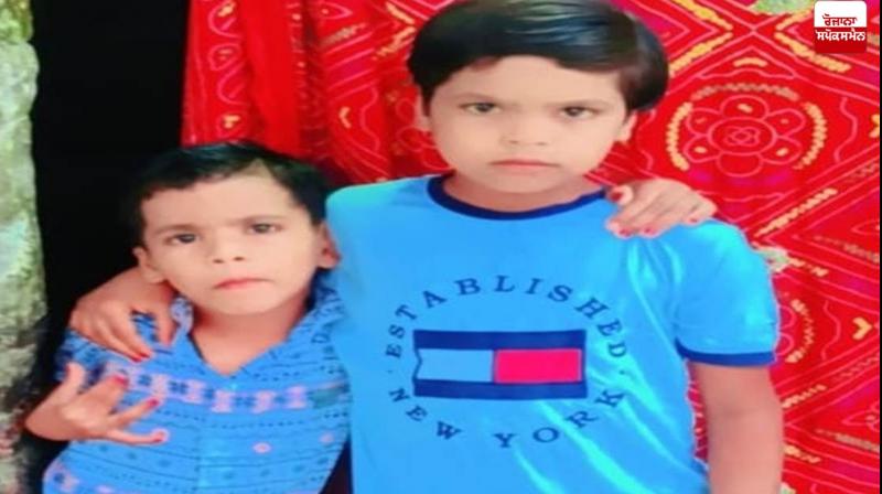 Two brothers die of snake bite in Sunam