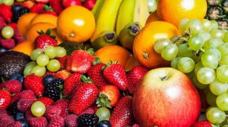 Fruits and animals