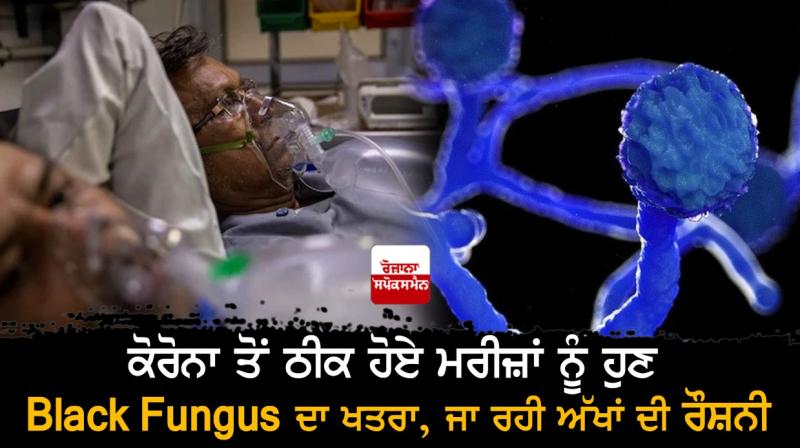 Black Fungus Infection