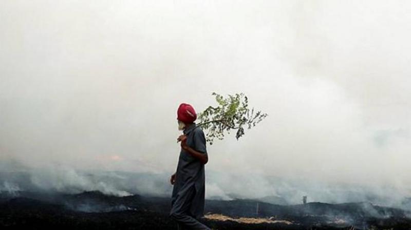 38 nambardar suspended for not reporting stubble burning