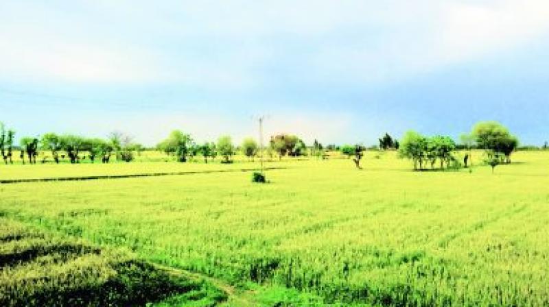 Order to name the ownership of the land in the Gram Panchayats