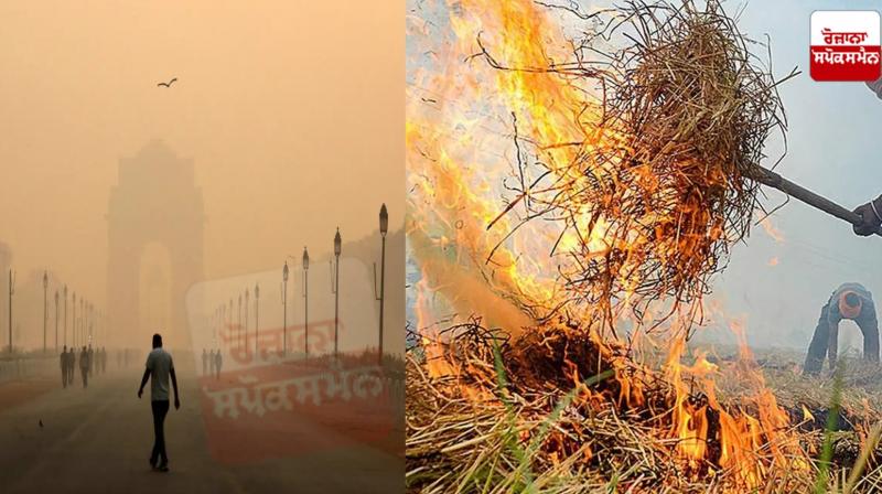 The straw burnt in Punjab is not responsible for Delhi's pollution news in punjabi 