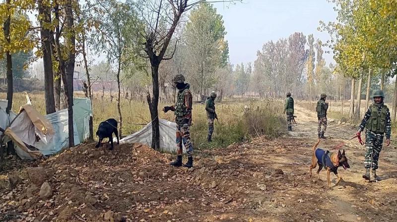 11 terrorists arrested from four districts of Manipur