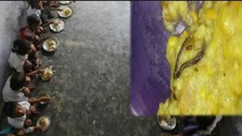 Snake found in school khichdi