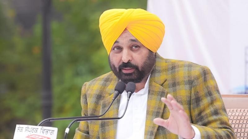 Bhagwant Mann targeted bikram Majithia on Arrest of Langah's son News in punjabi 