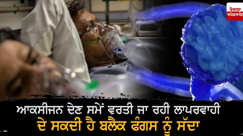 black fungus infection