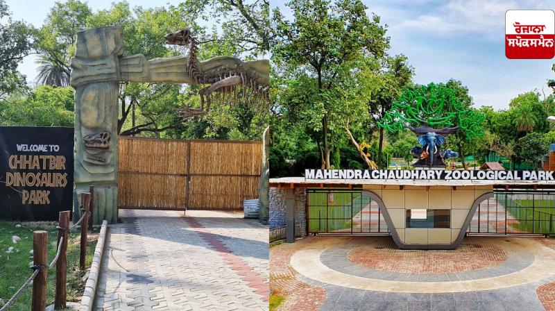 More than 90,000 school students visit Chhatbir Zoo in a year