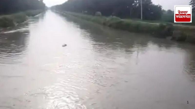 Mansa: Farmer commits suicide by jumping into canal, FIR against 4