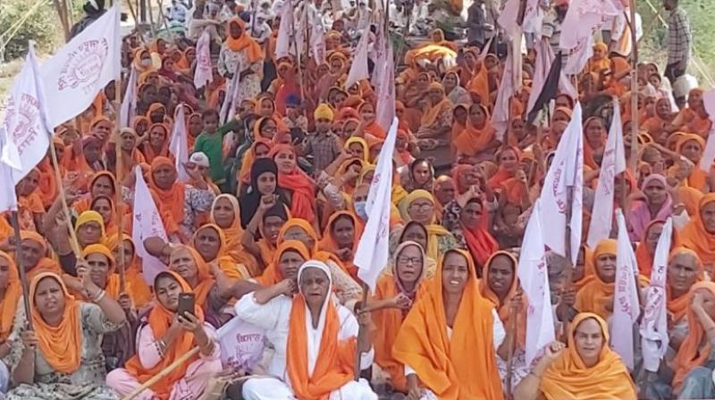 Women protest against farm bills