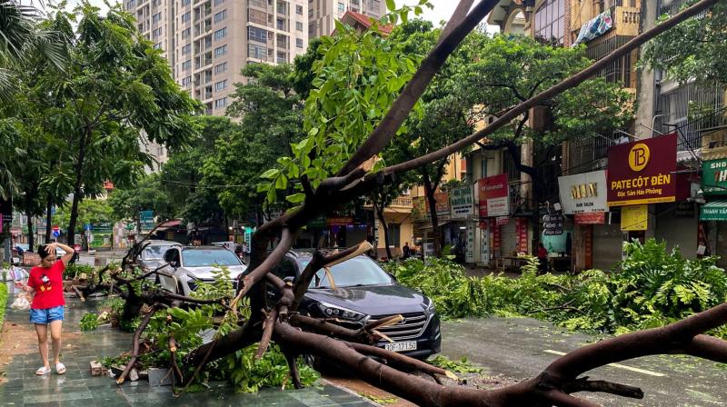 Death toll due to cyclone in Vietnam has increased to 141