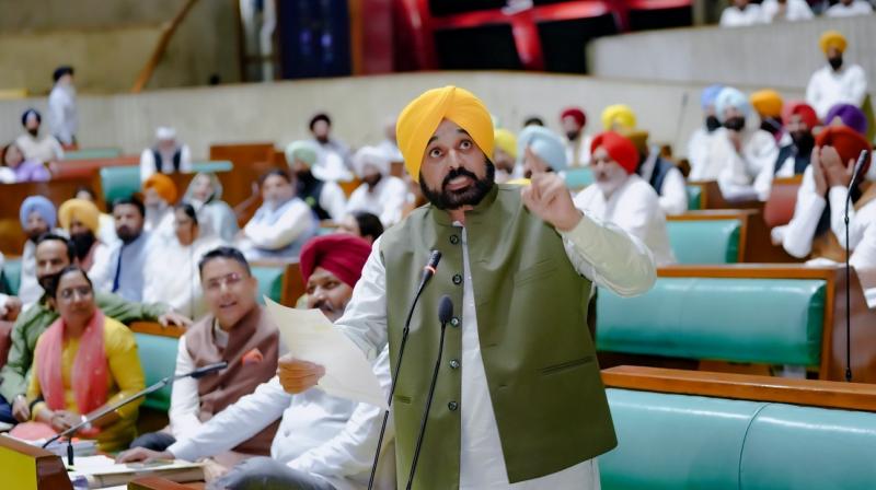 The Finance Minister presented an excellent 'Common People's Budget' in the language of the people: Chief Minister