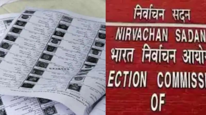 Election Commission of Punjab 