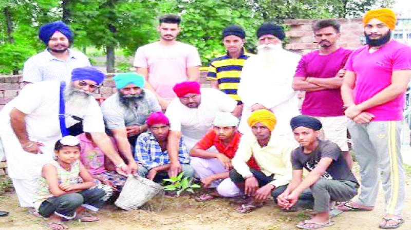 People Planting plants