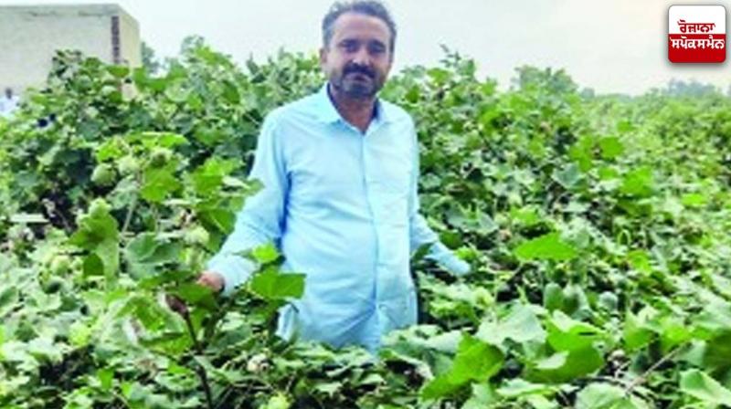 Farmer Ravi Kant