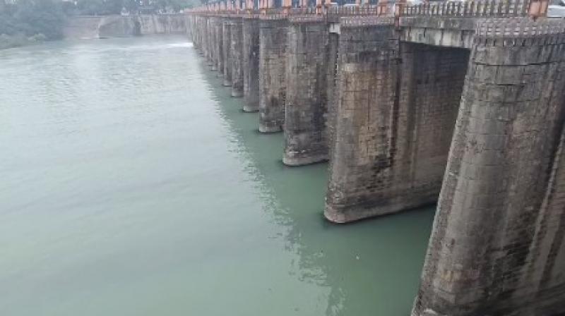Bhakra Dam 