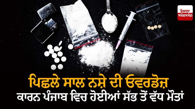Punjab had maximum drug overdose deaths across India: NCRB data