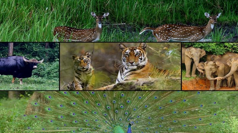 Visit National Parks