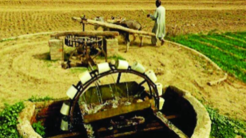 Halti Vali Khuhi disappeared from Punjabi culture