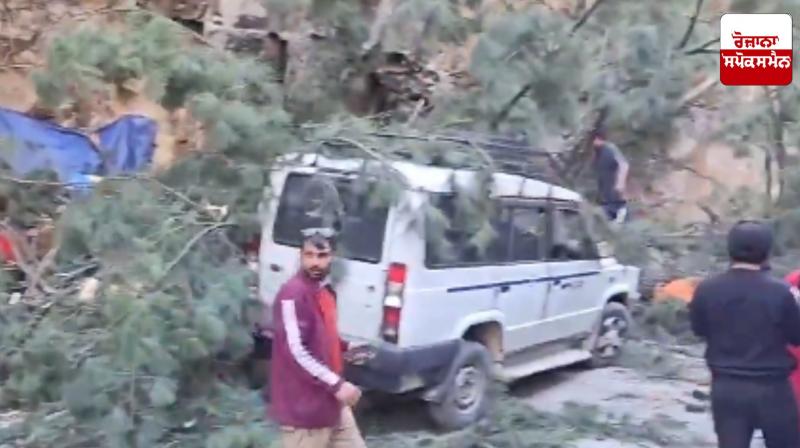 Major accident in Himachal's Manikaran, tree fell from mountain due to strong winds, 6 people died