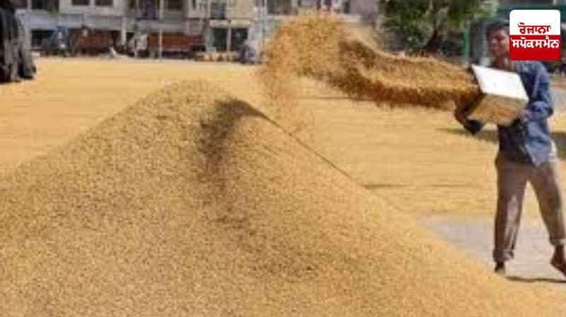Government procurement of wheat in Punjab to begin from April 1