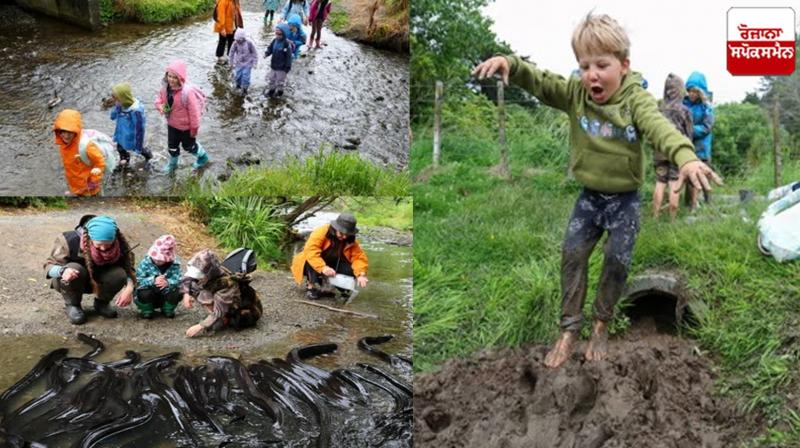 New Zealand Students Being Offered Unique Learning