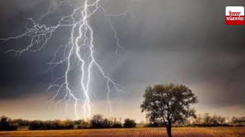 Jammu and Kashmir: More than 100 animals die due to lightning