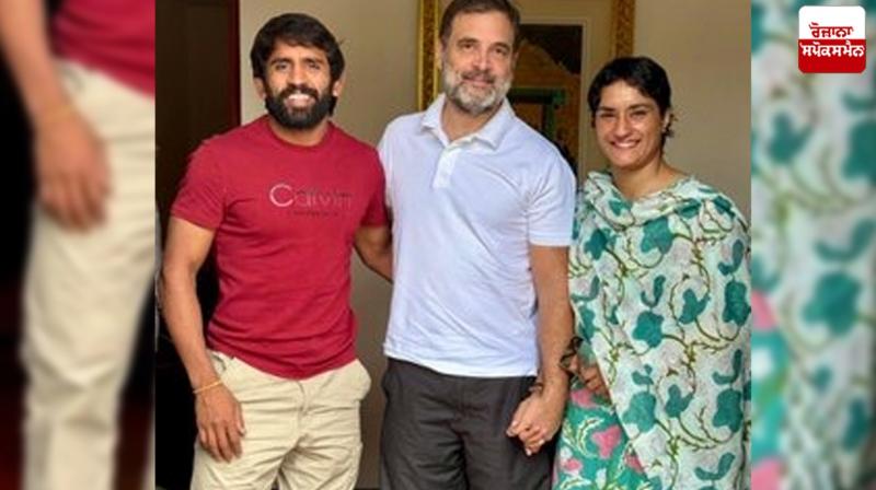Vinesh Phogat-Bajrang Punia met Rahul Gandhi News