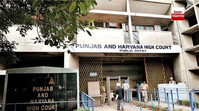punjab and haryana high court