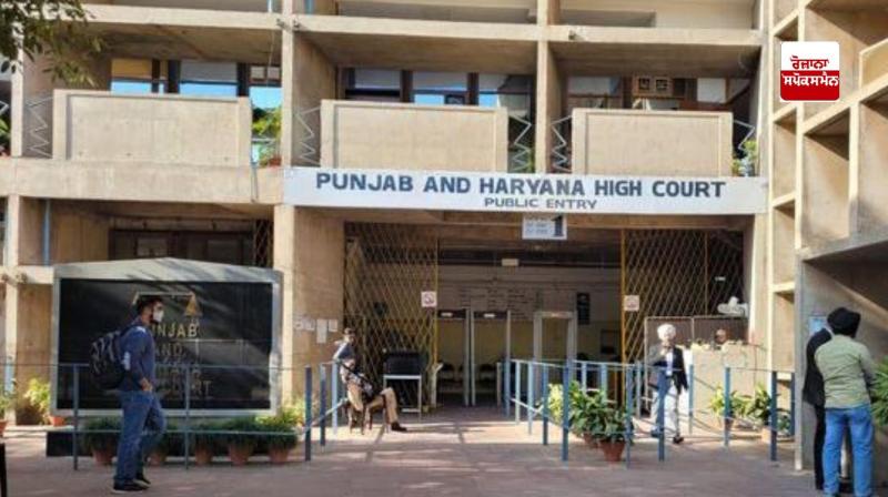 punjab and haryana high court