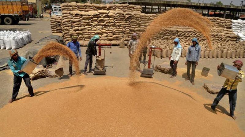 The government will purchase 30 million tonnes of wheat
