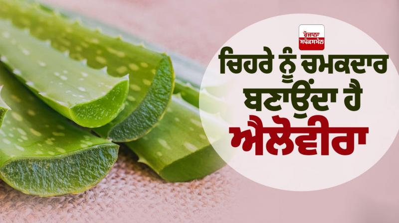 Aloe vera makes the face glow Beauty Tips