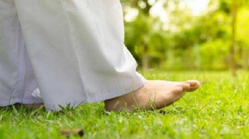 Let's know about the benefits of walking barefoot on grass