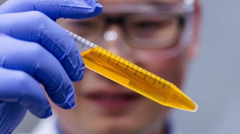 Common food coloring can make the skin and muscles temporarily transparent