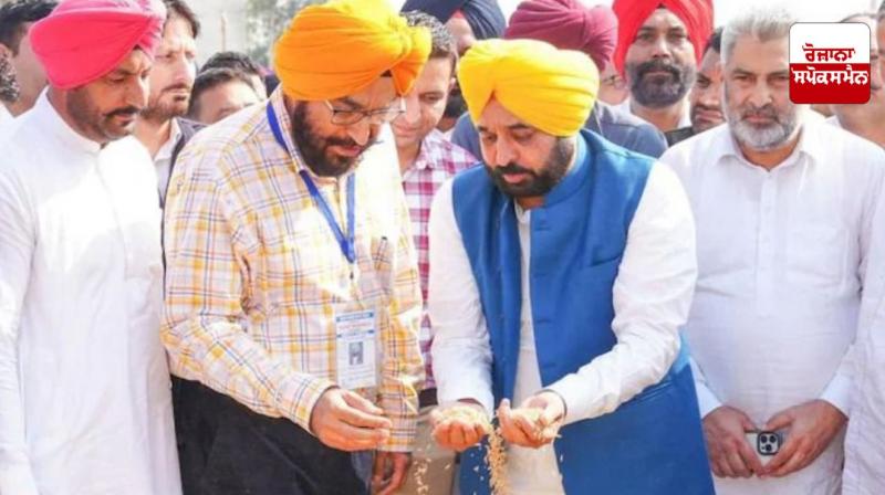 Bhagwant Mann government creates historic record of procurement of 159 lakh metric tonnes of paddy