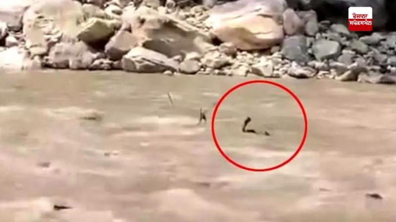 Himachal: Two tourists swept away in river due to sudden release of water from dam