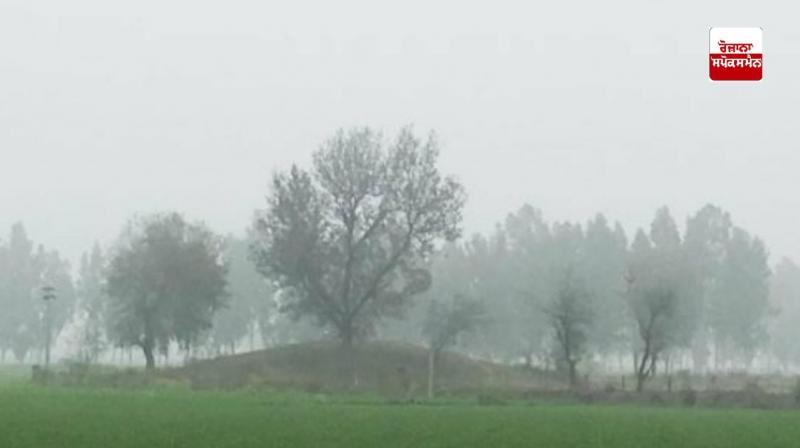 Yellow alert of fog issued for 2 days in Punjab-Chandigarh