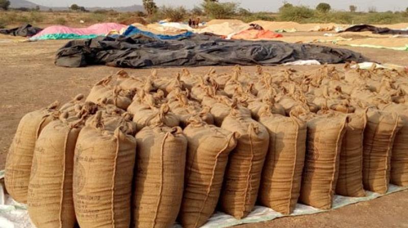 Punjab food department tighten screws against bogus paddy procurement