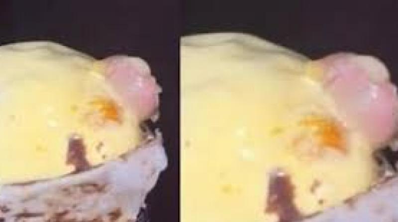 Finger found in ice cream belonged to injured factory employee