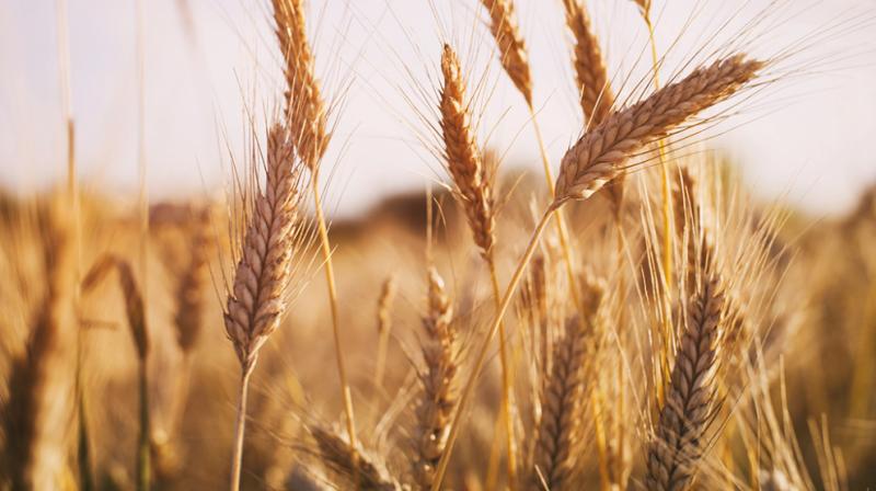 Image: For representation purpose only