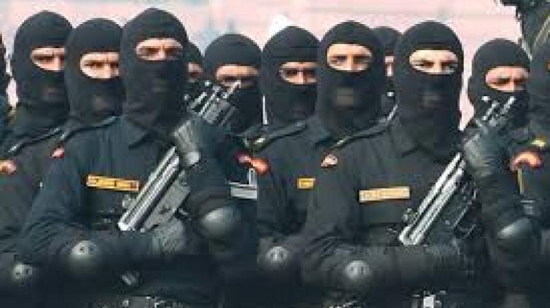 NSG Commandos