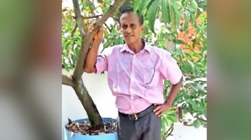 Kochi man grows 40 varieties of mangoes on his rooftop
