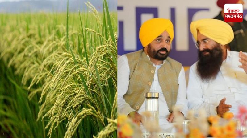 ਮੁੱਖ ਮੰਤਰੀ ਭਗਵੰਤ ਮਾਨ ਅਤੇ ਖੇਤੀਬਾੜੀ ਤੇ ਕਿਸਾਨ ਭਲਾਈ ਮੰਤਰੀ ਗੁਰਮੀਤ ਸਿੰਘ ਖੁੱਡੀਆਂ