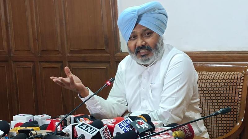 PUNJAB DRAFTING VISION DOCUMENT TO ACHIEVE 10 PC PER ANNUM GROWTH RATE BY 2047: CHEEMA