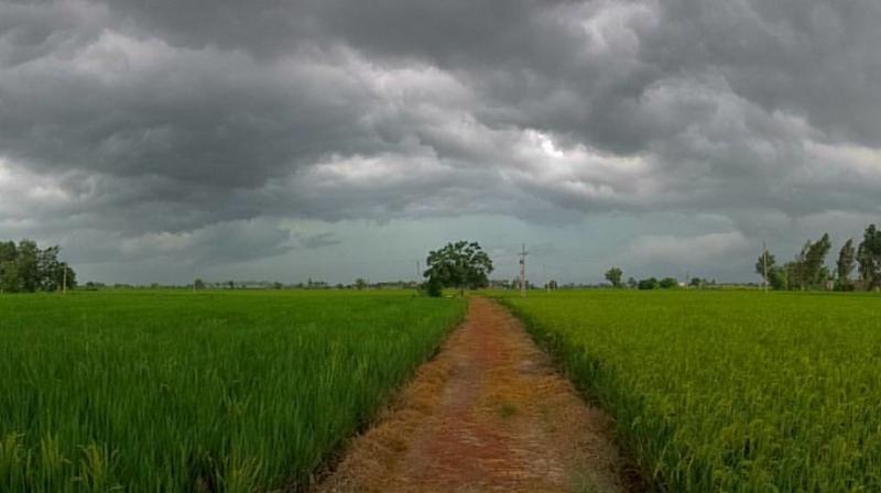 representational Image