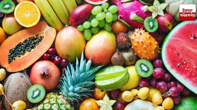 fruits in summer fulfill the water deficiency