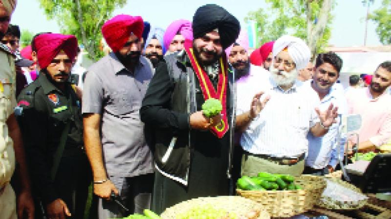 Sidhu invites world famous Chefs to Punjab For start Indian Culinary Institute
