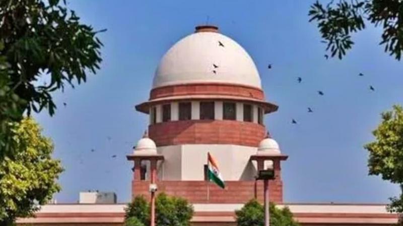 Supreme Court on plea to abort: We can't kill child in womb